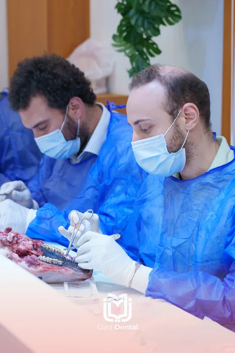 Two gowned and masked participants placing implants on an anatomical specimen